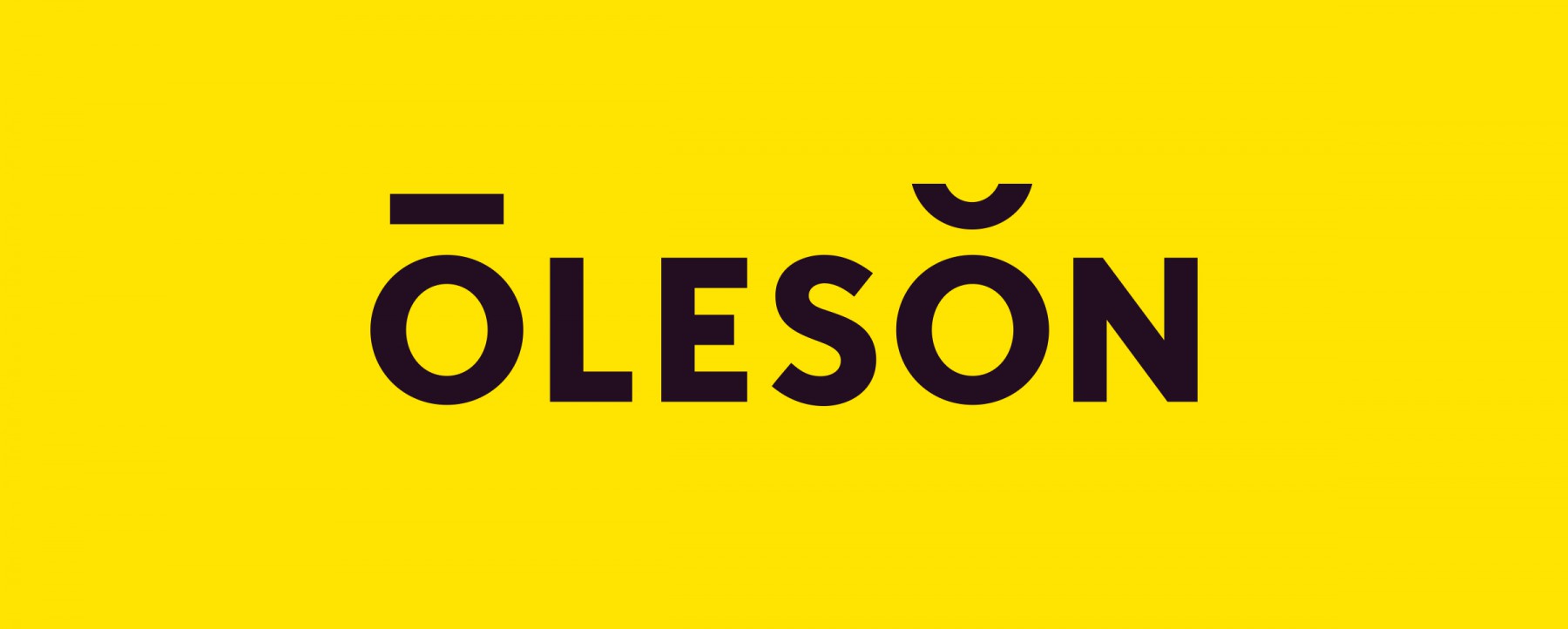 Oleson Sales logo wordmark designed by Werner Design Werks in Saint Paul, Minnesota